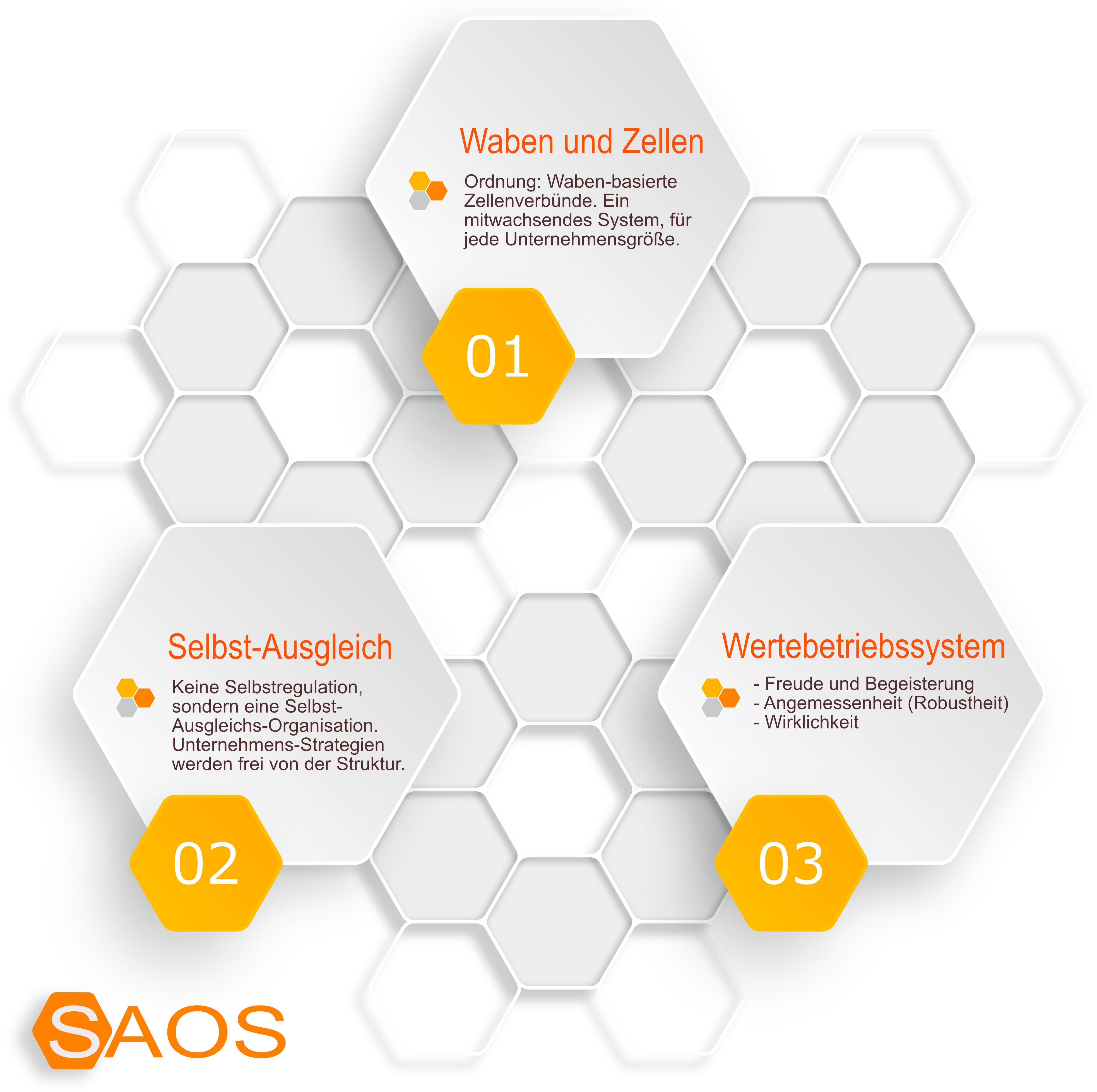 SAOS - Organisationssystem zur Organisationsentwicklung (Organisationsstruktur)